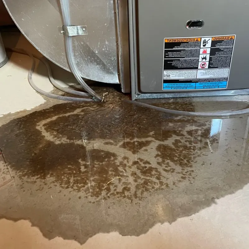 Pipe Burst and Leak Restoration in Salisbury, VT