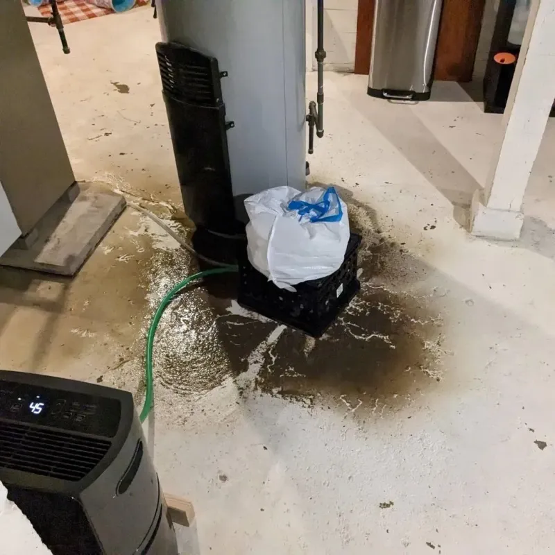 Sewage Backup Cleanup Service in Salisbury, VT
